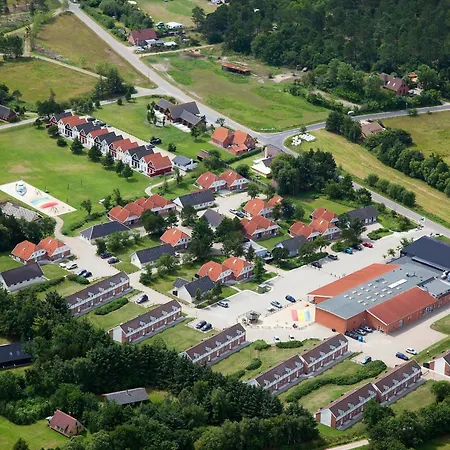 4 Person On A In Blavand